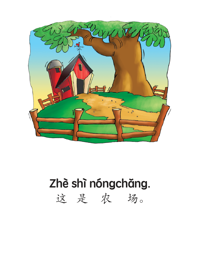 Dòngwu - Little Reader (minimum of 6)